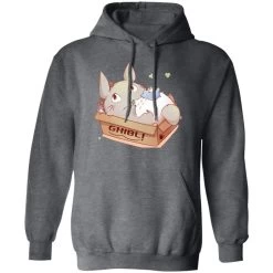 Cute Totoro In The Box Hoodie -Ghibli Shop redirect11022022011146 4