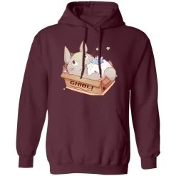 Cute Totoro In The Box Hoodie -Ghibli Shop redirect11022022011146 7 1